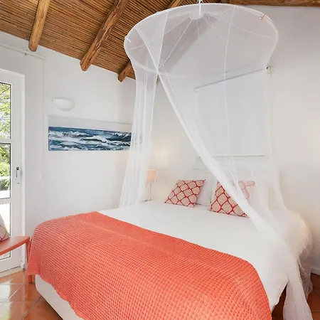 Monte 2026 Renovated Pool Walk To The By Ocvillas Villa Galé